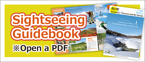 Sightseeing guidebook（Open a PDF file）