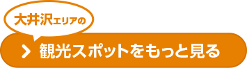 大井沢エリアの観光スポットをもっと見る