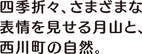 四季折々、さまざまな表情を見せる月山と、西川町の自然。