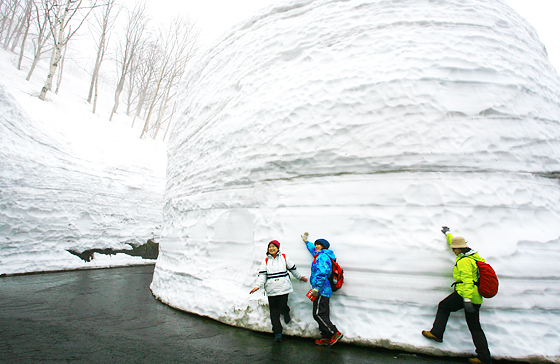 雪の回廊ウォーキング