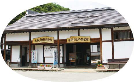 大井沢自然博物館