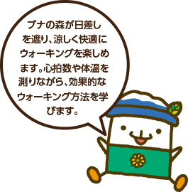 ブナの森が日差しを遮り、涼しく快適にウォーキングを楽しめます。心拍数や体温を測りながら、効果的なウォーキング方法を学びます。