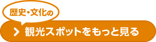 歴史・文化の観光スポットをもっと見る