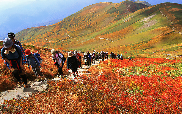 Mt. Gassan Autumn Leaves Trekking