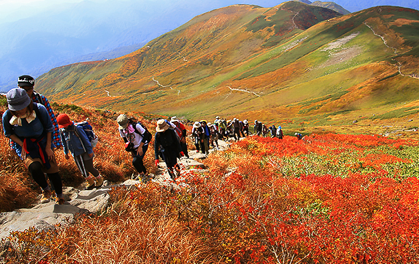 月山红叶徒步旅行