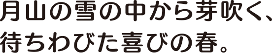 月山の雪の中から芽吹く、待ちわびた喜びの春。