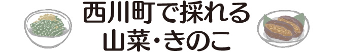 西川町で採れる山菜・きのこ