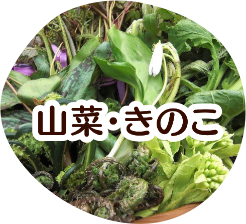 山菜・きのこ