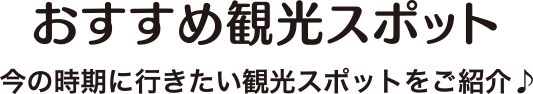 旬のおすすめ観光スポット 今の時期に行きたい観光スポットをご紹介♪