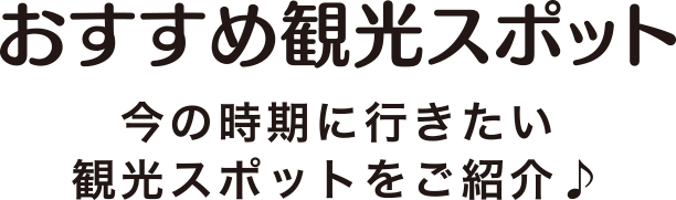 旬のおすすめ観光スポット 今の時期に行きたい観光スポットをご紹介♪