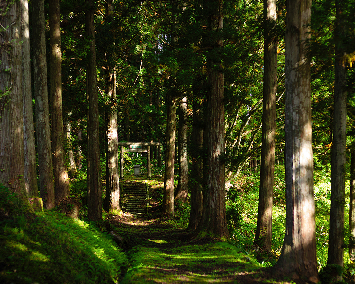 湯殿山神社