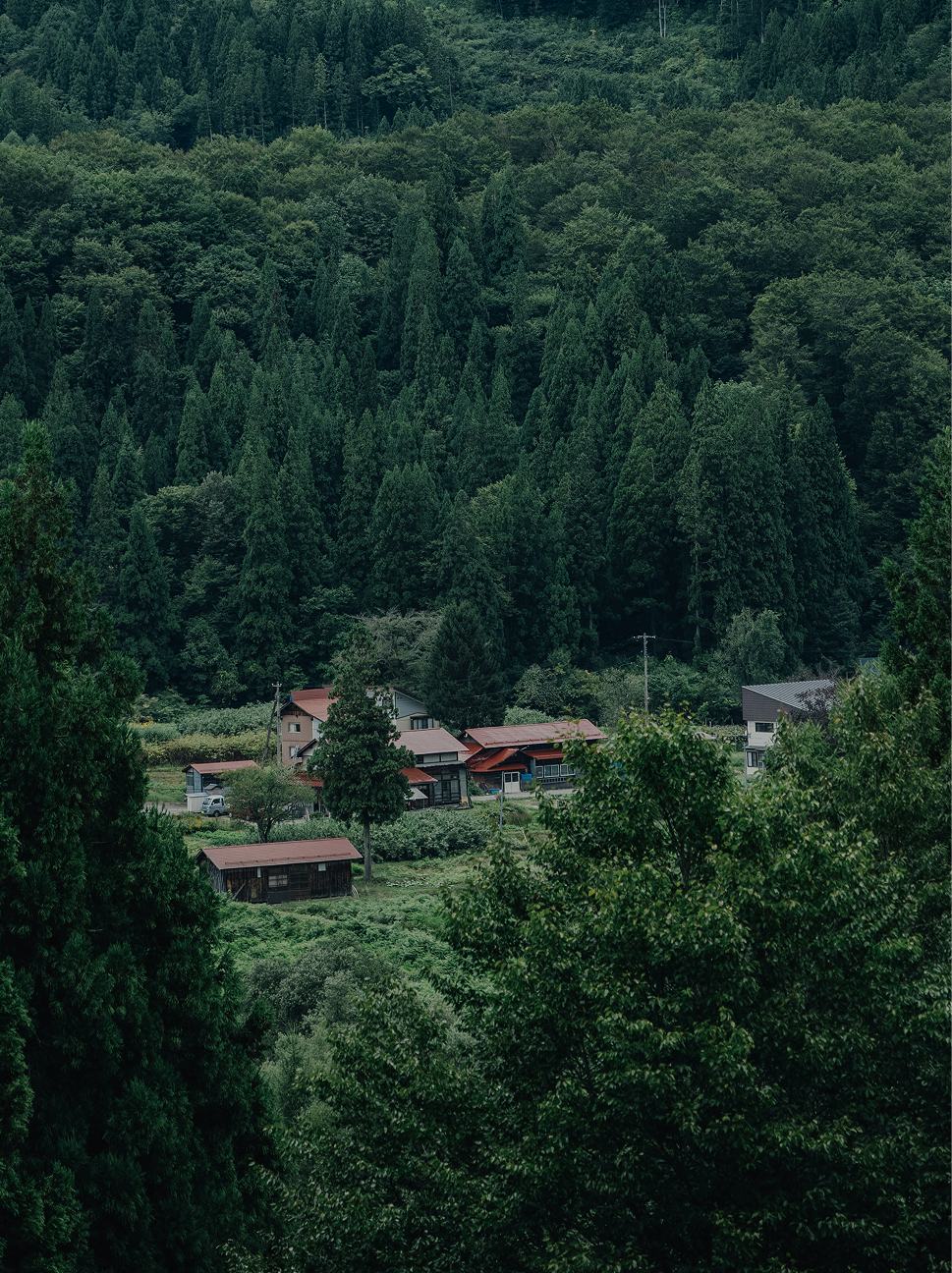 遠くから見た大井沢