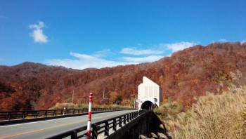 月山花笠ライン