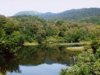 志津野営場